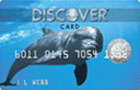 Discover® Platinum Sealife Card